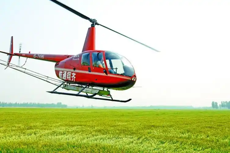 大型直升机帮小麦灭虫万亩农田一天喷洒完农药