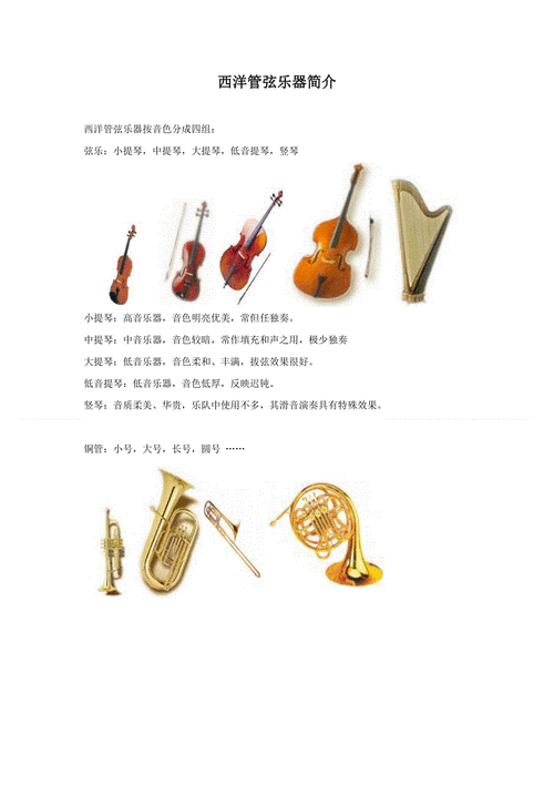 西洋管弦乐器简介.doc