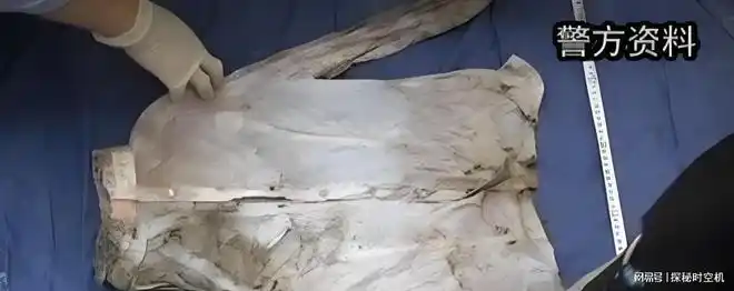 黄浦江分尸案纪实落网才知戴绿帽怀孕女尸身份悬疑