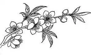 桃树儿童绘画作品图集 桃树简笔画图片