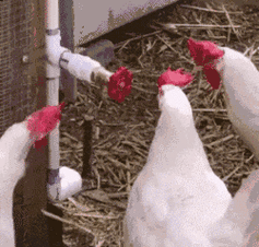 我的女朋友抱着我过去,旁边的姑娘都笑抽了.