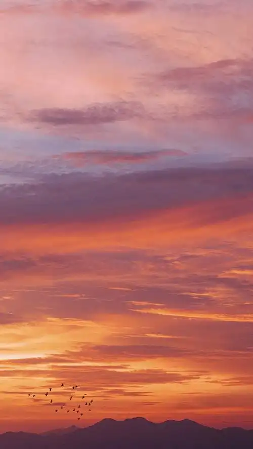 xxxxxx_yuan从喵大仙-yellow转采于2020-09-27 09:08:21晚霞背景/素材