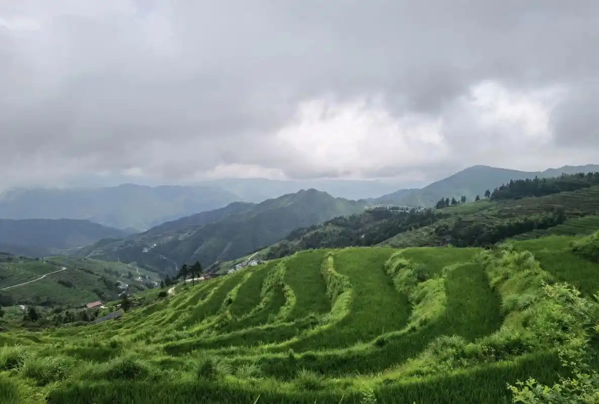 怀化溆浦山背花瑶梯田 值得一游 推荐一个小众避暑胜地.