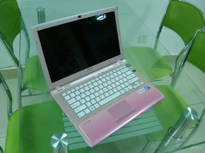 2012成大热门 商业时代索尼tz本结缘影视