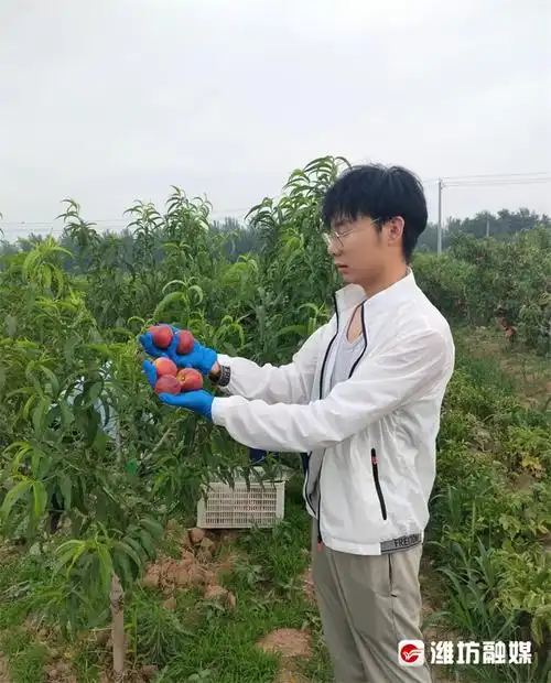 6767村村有好戏26岁青年扎根农村创业他说要带动大家共同致富