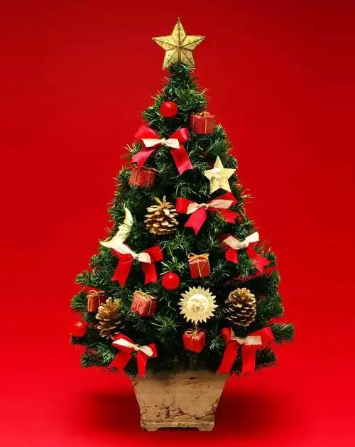 圣诞节也是红配绿