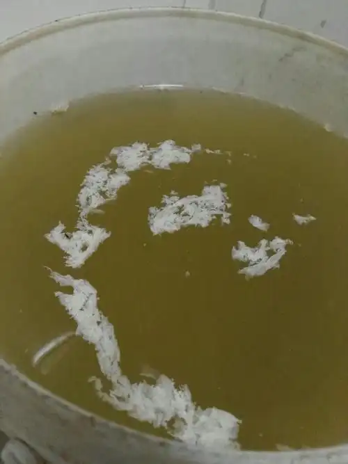 隔夜的尿有蛋白一样的东西是怎么回事?