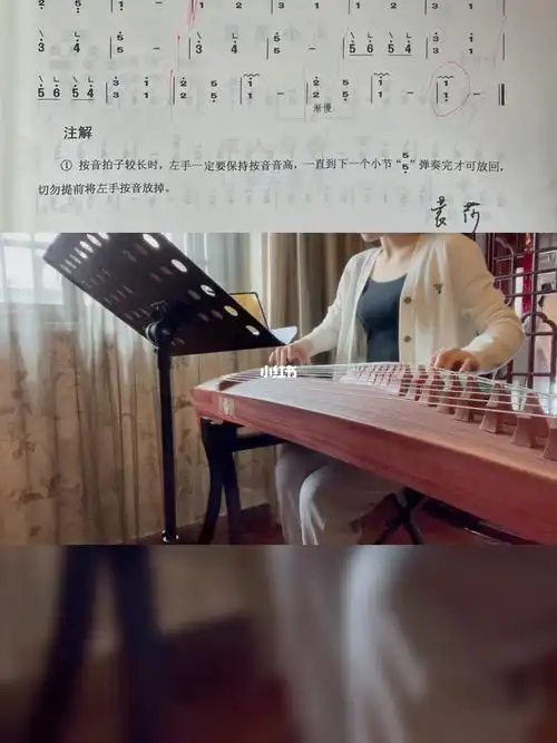 袁莎古筝教程两只老虎