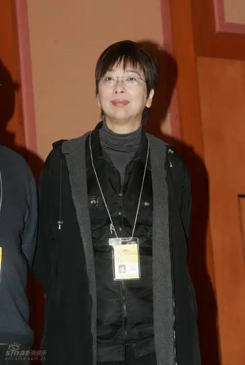 图文:三地导演论坛--香港新导演陈丽英