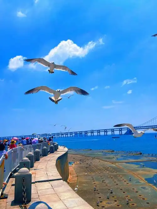 亚洲最大的海边广场大连星海广场是来大连必打卡的地方哦真的非常大