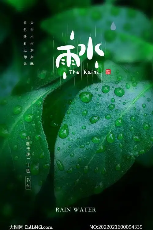 绿叶和水滴主题雨水节气海报psd素材