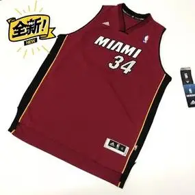 全新正品热火队34号酒红色雷阿伦刺绣青年版球衣sw篮球服全新