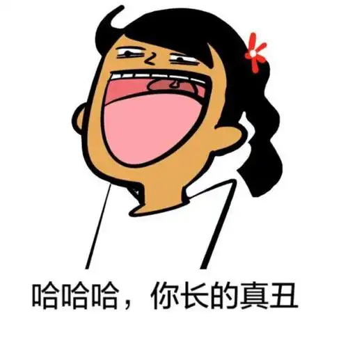 哈哈哈 你长的真丑 贱表情