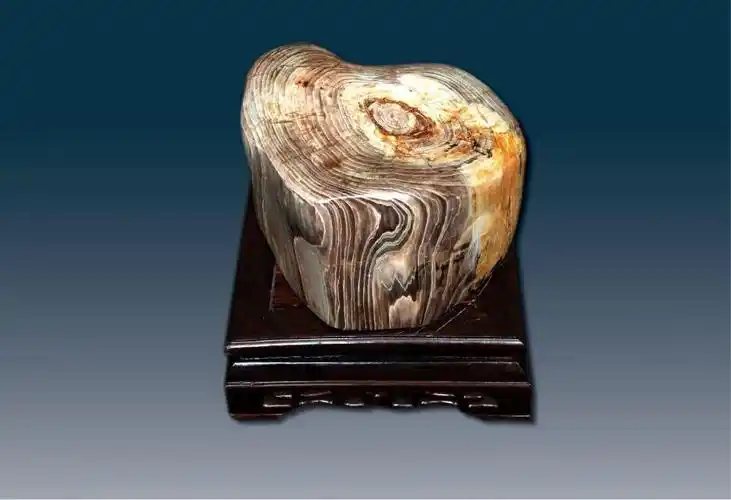 朝阳树化玉美在草原