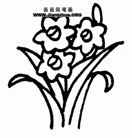 水仙花简笔画图解