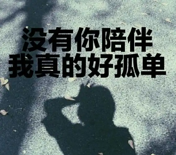 没有你陪伴真的好孤单