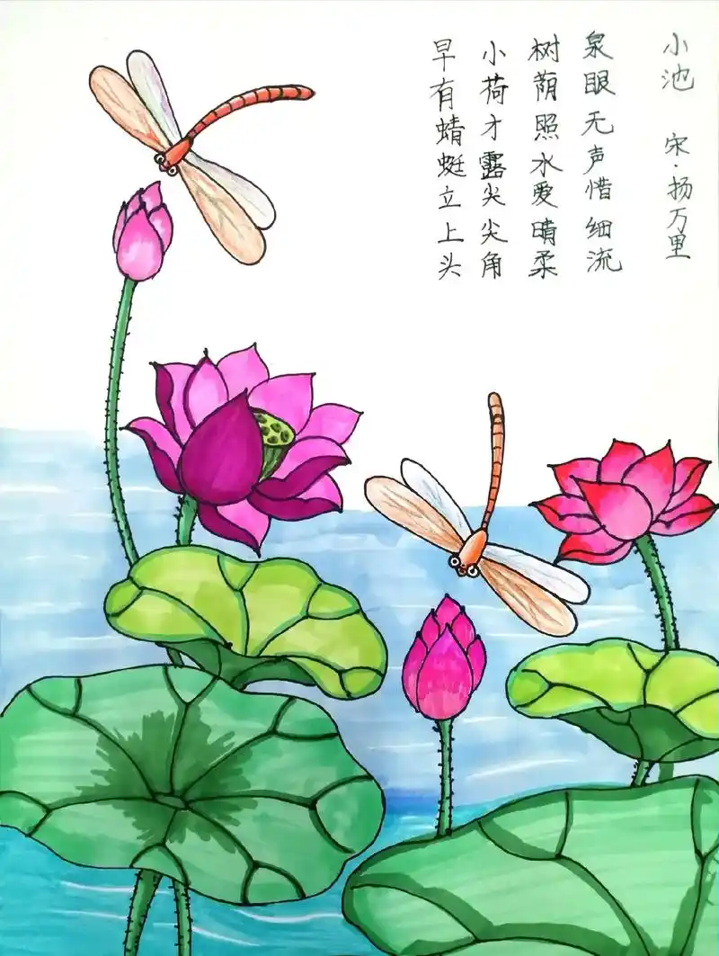 诗配画  小池.诗情画意,简单美观的古诗配画创造了美得意境! - 抖音