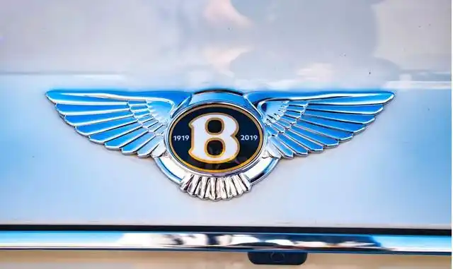 玩宾利的基本上都是看上了这个带着翅膀的标找