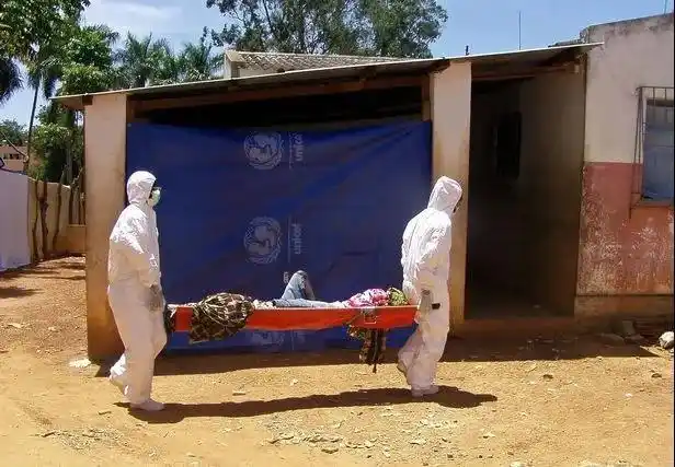 西非爆首例马尔堡病毒致死率88的传染病暂无药可治