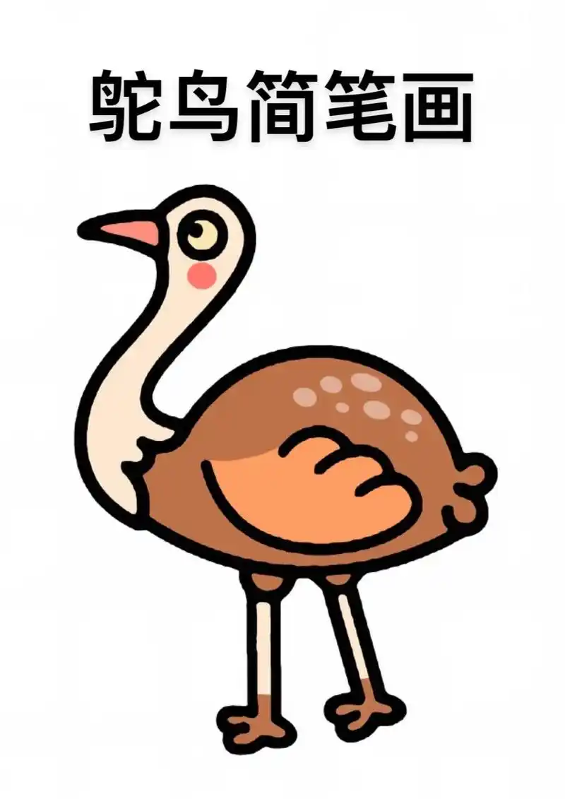 鸵鸟简笔画教程来啦,步骤详细,简单易学#简笔画#儿童简笔画# - 抖音