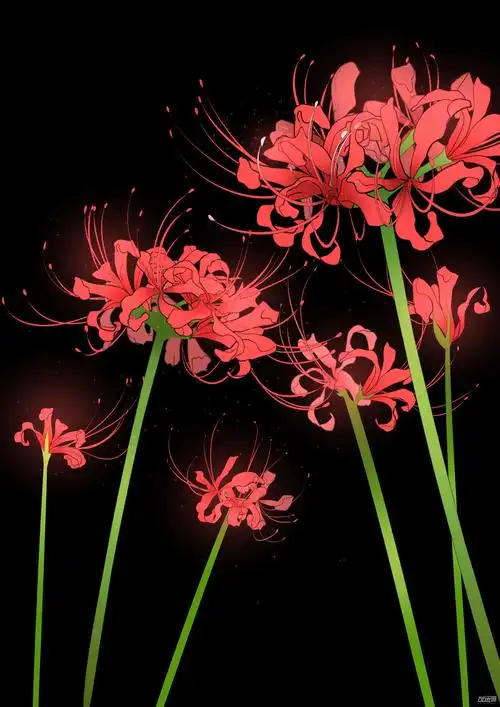 l&l-彼岸花 - 优动漫-动漫创作支援平台 | 优动漫paint绘画软件