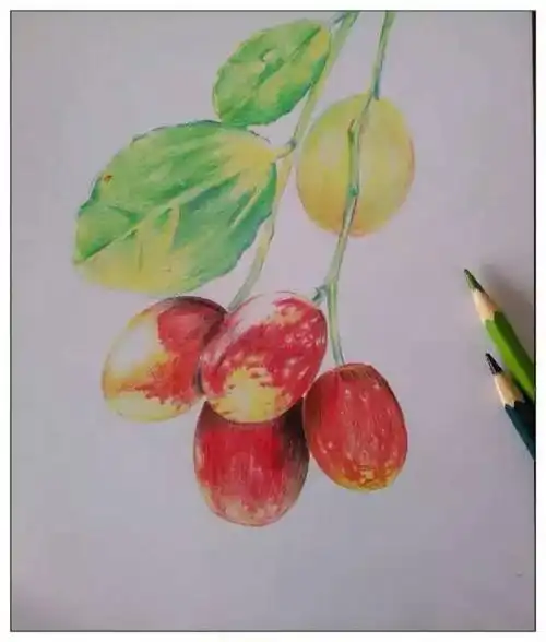 画廊-画时中小学美术教学云平台