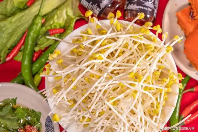 火锅菜品:爽脆篇|豆芽|黄豆芽|素菜|青菜_网易订阅