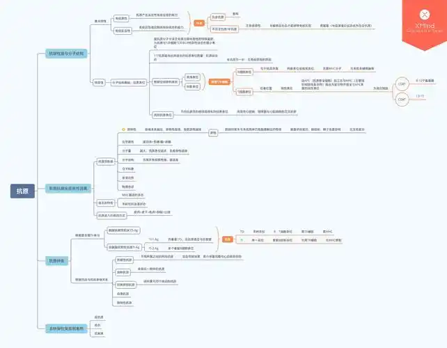 医学免疫学思维导图 - 知乎