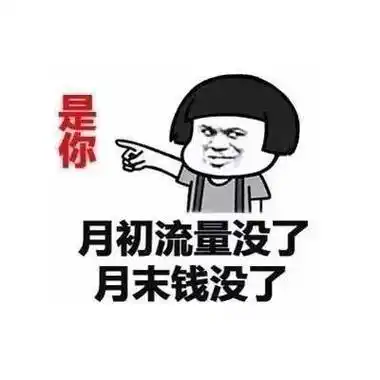 手机流量不够用怎么办买哪种套餐比较划算呢