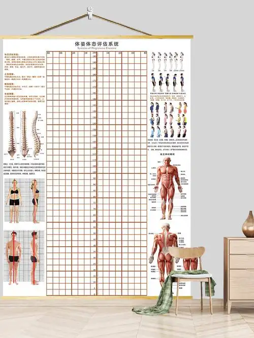 体态评估表 体态评估图健身房体测表瑜伽私教站姿形体脊椎身体装饰 黑