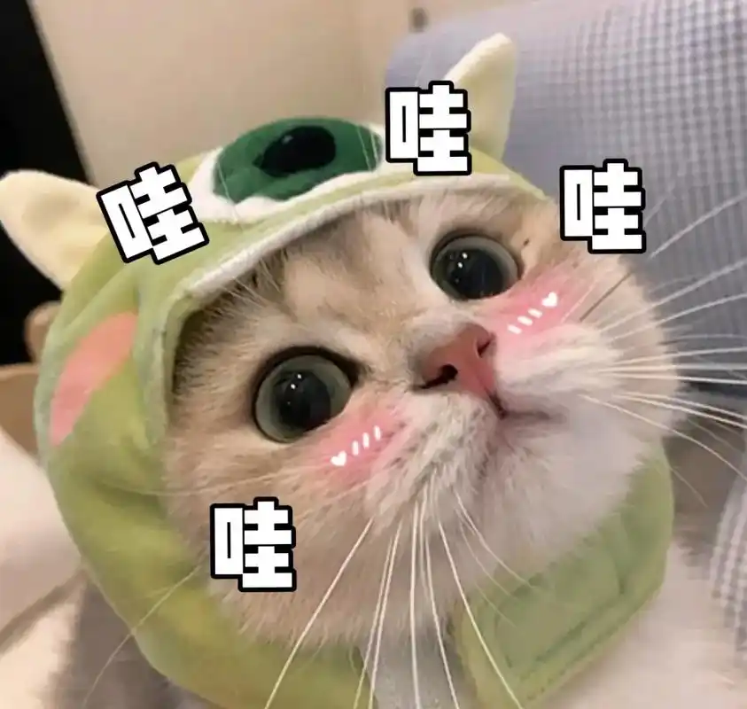 表情包 #搞笑表情包#萌宠表情包  - 抖音