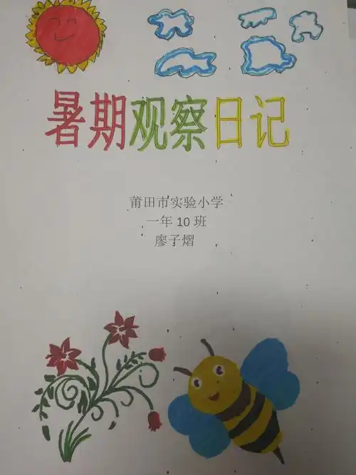 我们的暑假观察日记