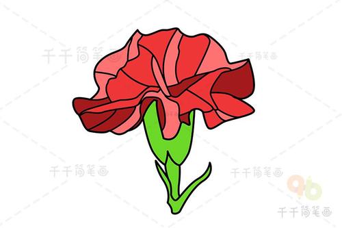 康乃馨简笔画怎么画