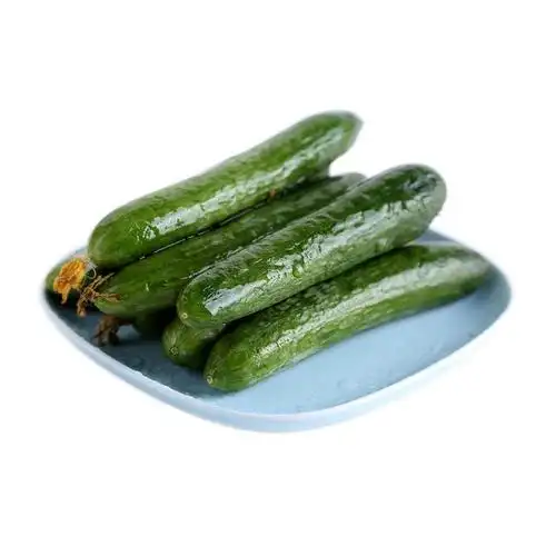 东北黑土地有机水黄瓜 500g/份