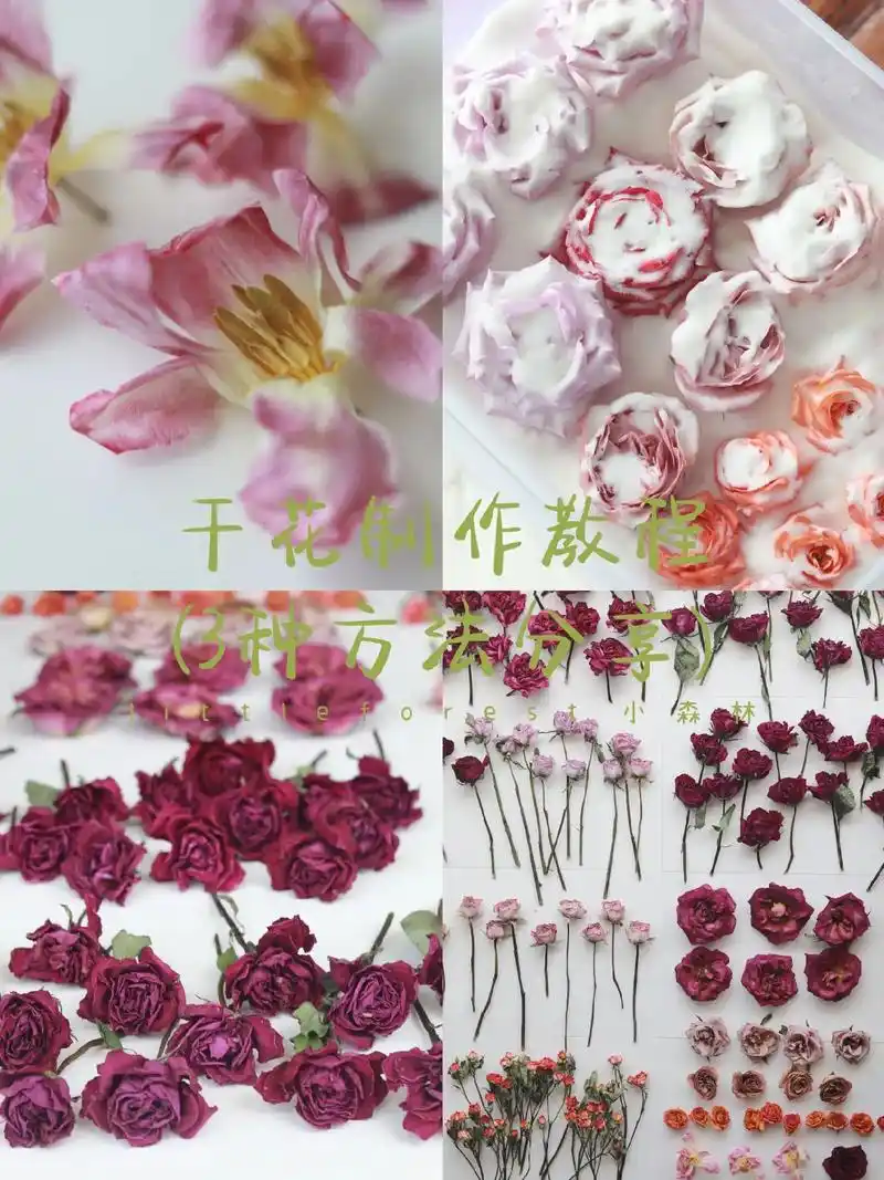 干花的多种制作方法|收到鲜花这样做太美啦.