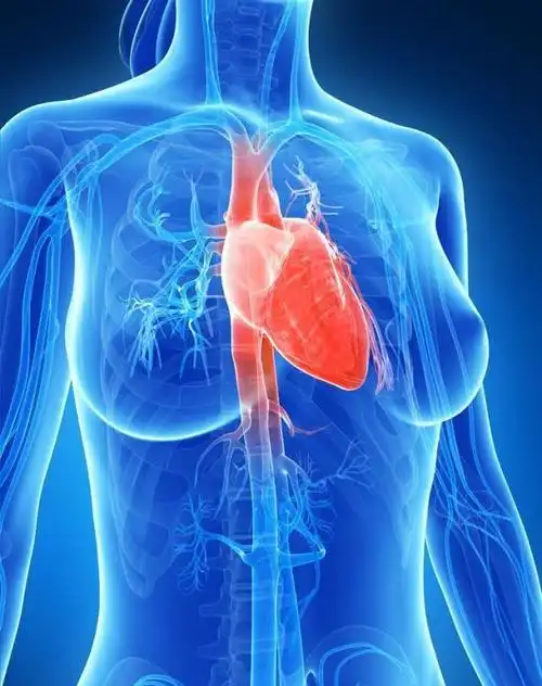 女生心脏突然"刺痛"一下,身体到底是怎么了?