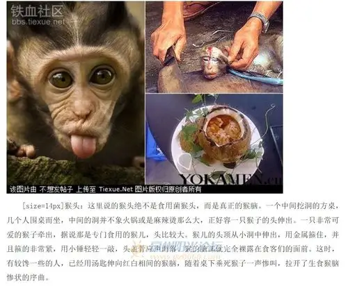 盘点传说中的中国10大禁菜 太残忍鸟