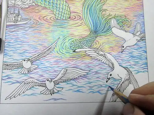 六年级最难画了美人鱼手抄报 六年级手抄报-蒲城教育文学网