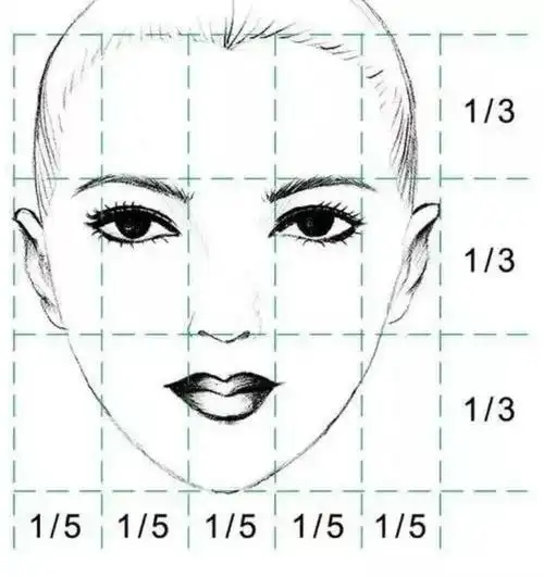 三庭:把人脸横向分为三个等分,额头到眉毛是上庭,眉毛到鼻头是中庭
