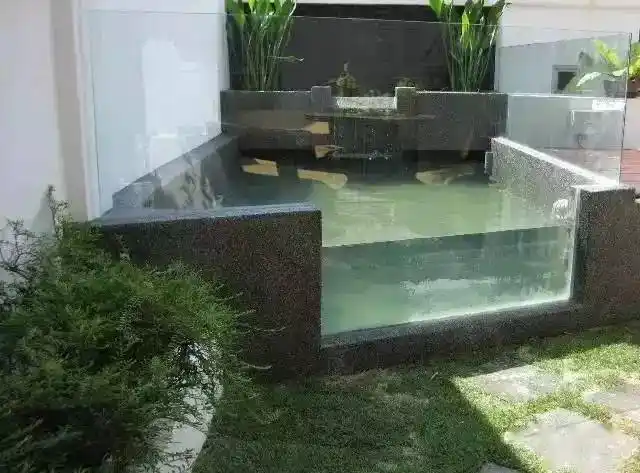 太养眼这才是我梦想的室外龙鱼缸池