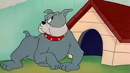 猫和老鼠:斯派克这回这么大气?拿回骨头居然不找汤姆算账!