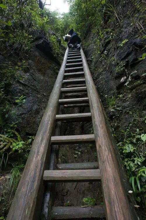湖南一处少有人知的悬崖村当地学生要爬天梯去上学仅300多人