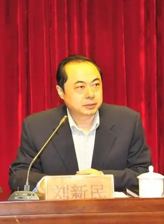 刘新民的个人简介