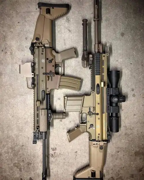 沉稳憨厚的体态fn公司scar17步枪美图欣赏