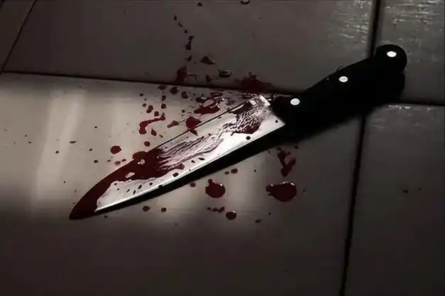 男子匕首自残猛刺民警遭对方开枪击毙死前有本事弄死我