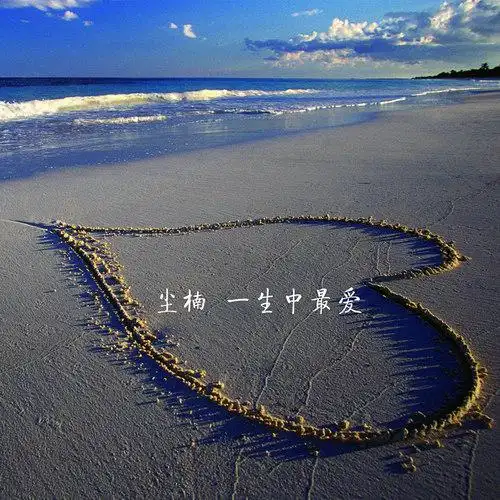 一生中最爱伴奏尘楠