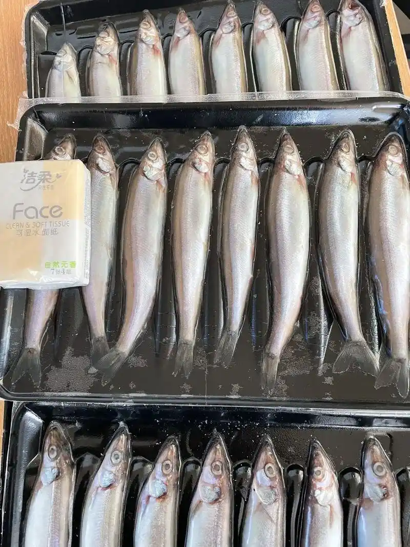 多春鱼串,贴体,散栋惠州出.多春鱼串,贴体装,单冻,板冻,  - 抖音