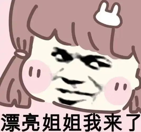 漂亮姐姐我来了 - 斗图表情包 - 金馆长表情库 - 真正的斗图网站