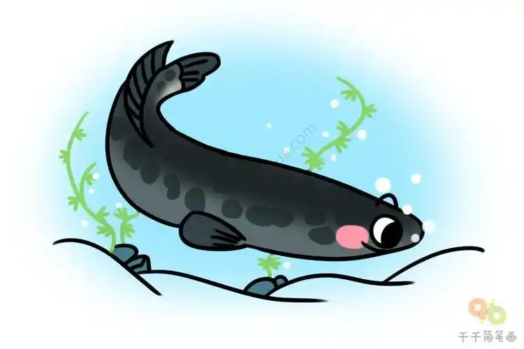 黑鱼简笔涂色画海洋动物简笔画