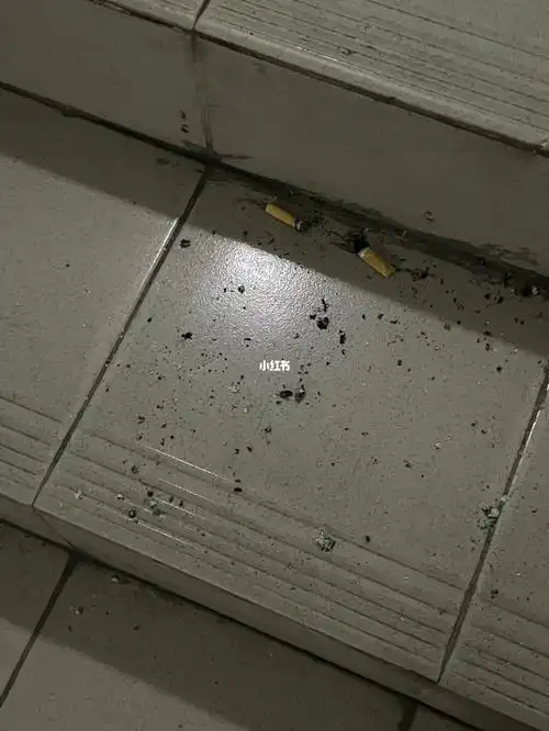 在楼道抽烟还乱扔烟头的人能不能亖一下